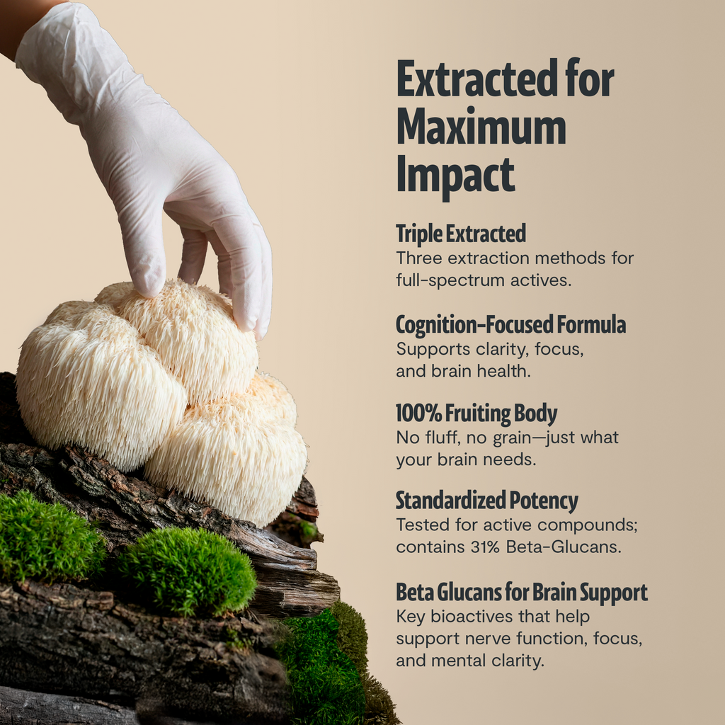 Capsules de Supplément Complexe de Champignons Biologiques