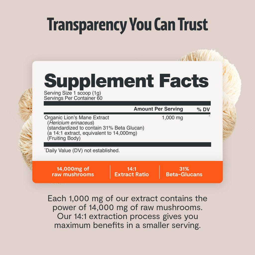 Capsules de Supplément Complexe de Champignons Biologiques