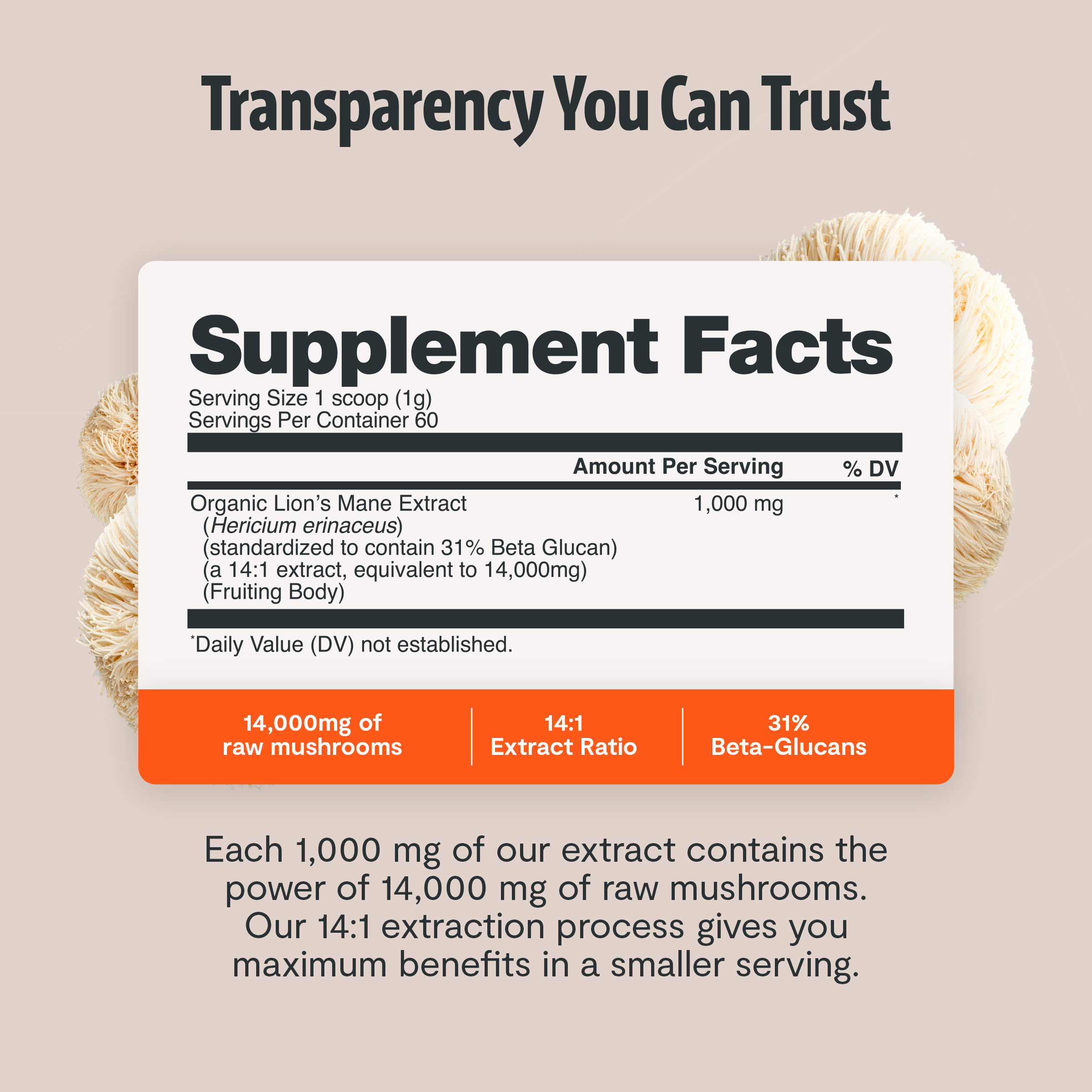 Capsules de Supplément Complexe de Champignons Biologiques