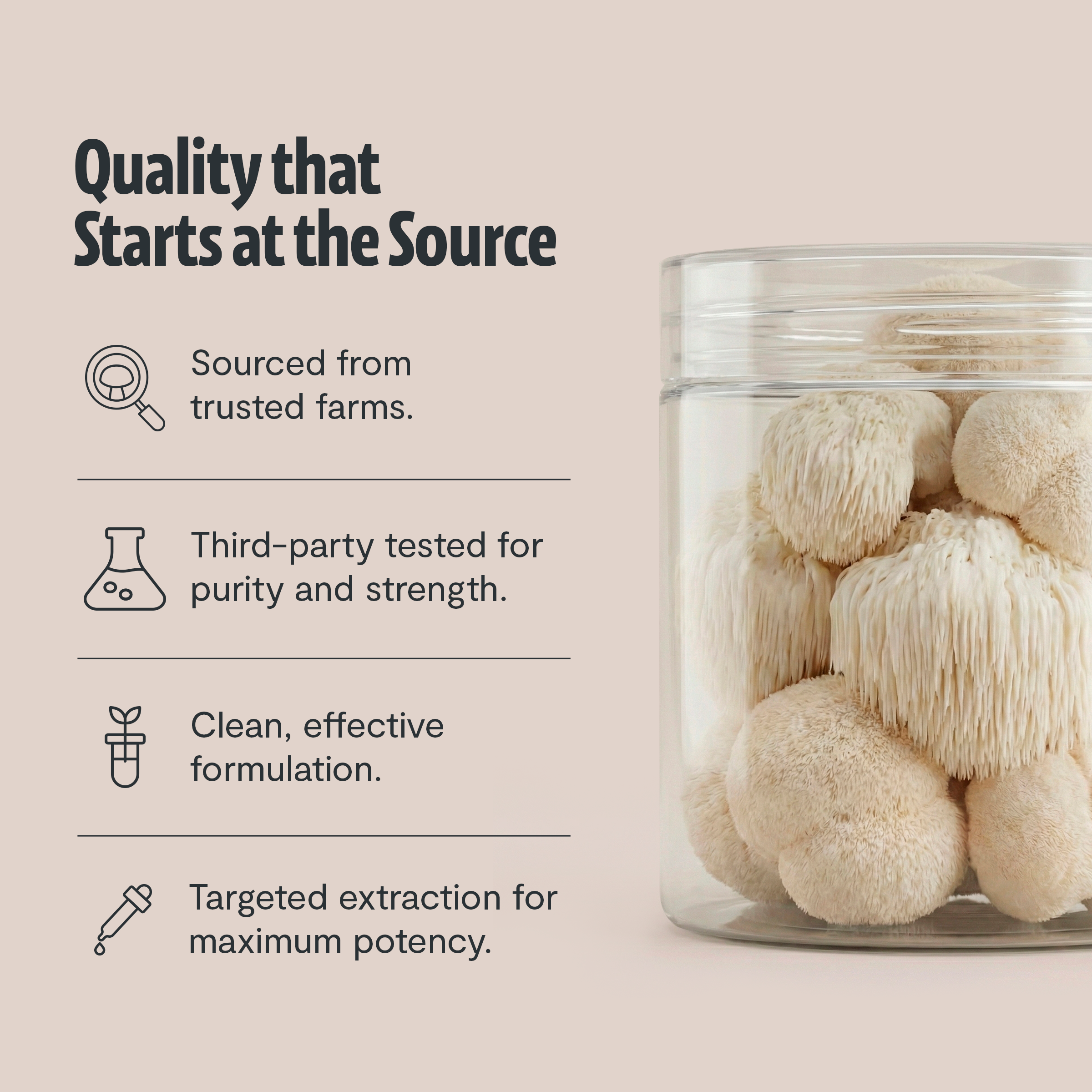 Capsules de Supplément Complexe de Champignons Biologiques