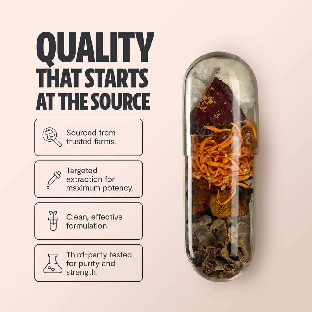 Capsules de Supplément Complexe de Champignons Biologiques
