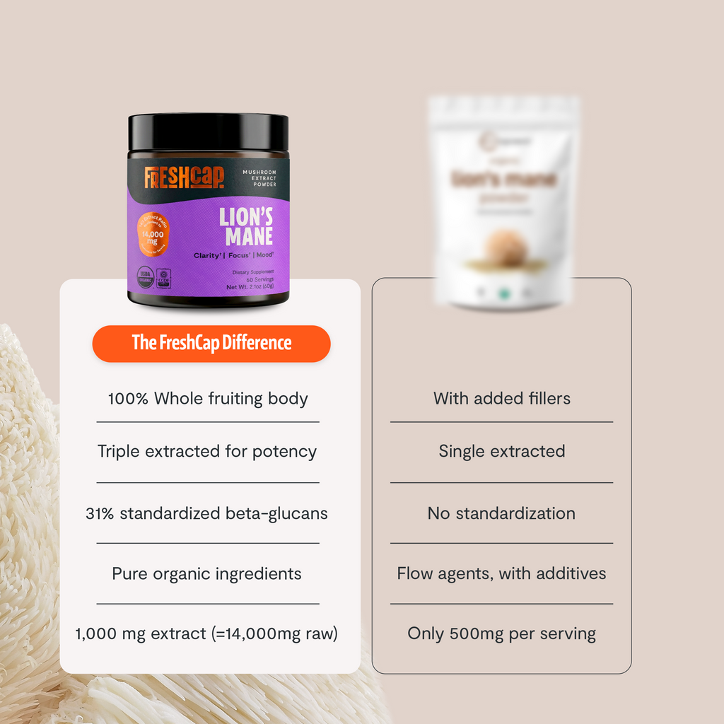Capsules de Supplément Complexe de Champignons Biologiques