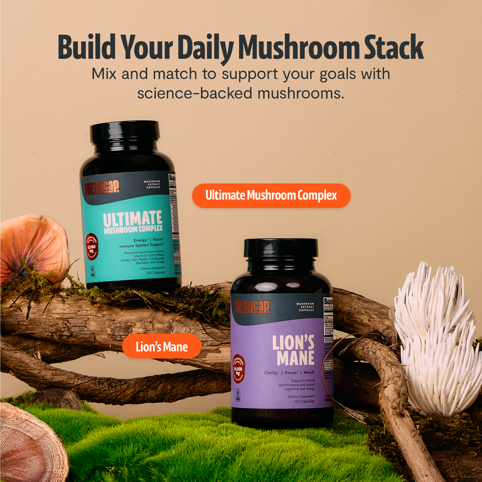 Capsules de Supplément Complexe de Champignons Biologiques