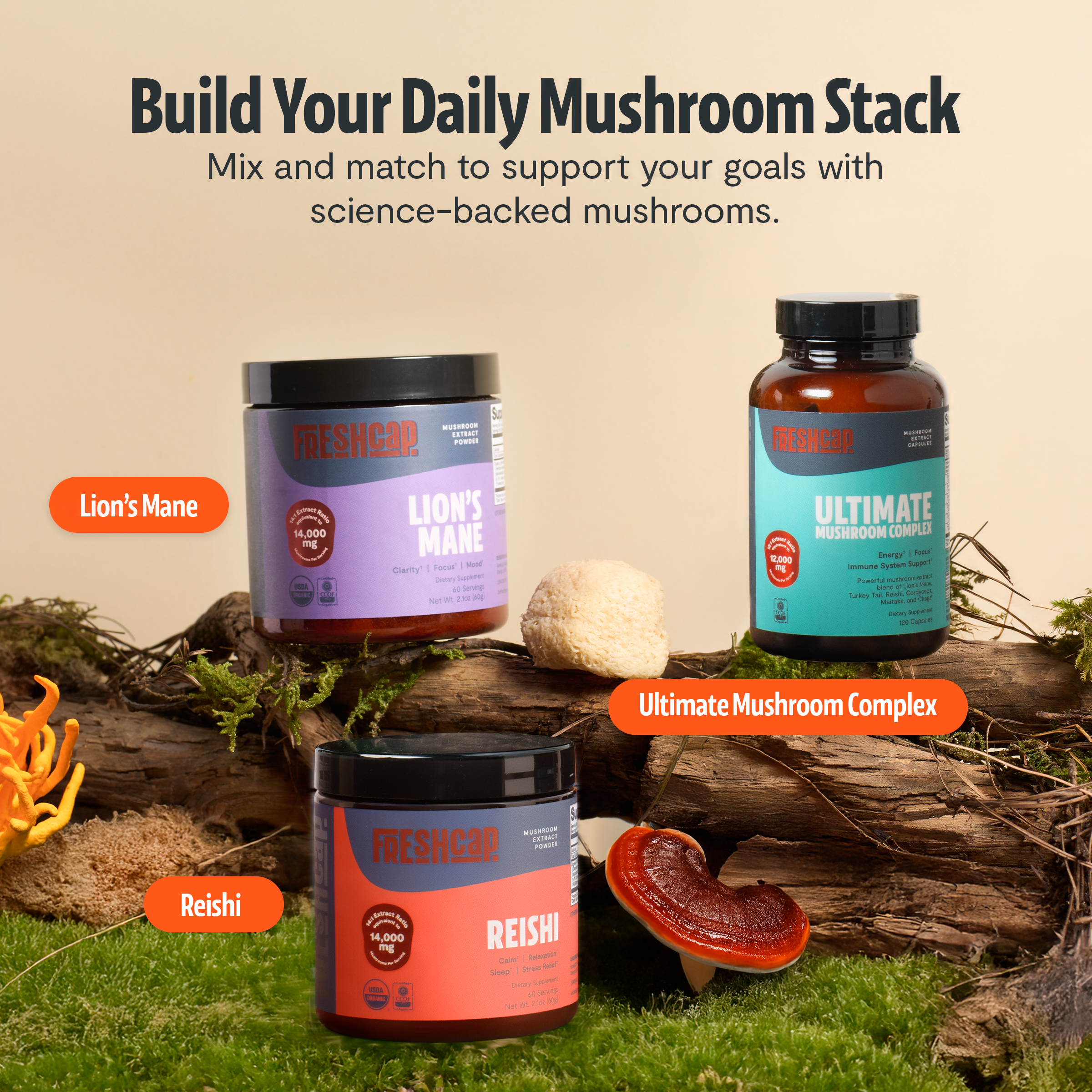 Capsules de Supplément Complexe de Champignons Biologiques